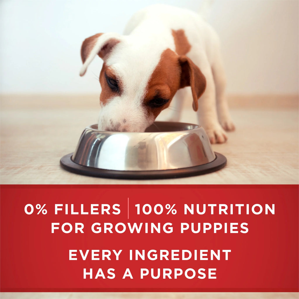 13 oz Cans (12 Pack) Soft Lamb Long Grain Rice Wet Puppy Dog Food K341