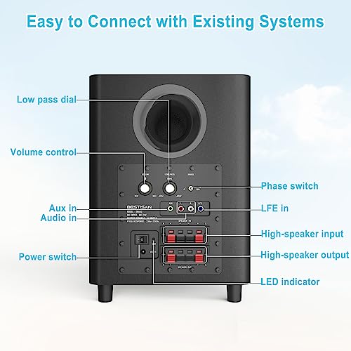 Powered Subwoofer with Coaxial Cable M98165