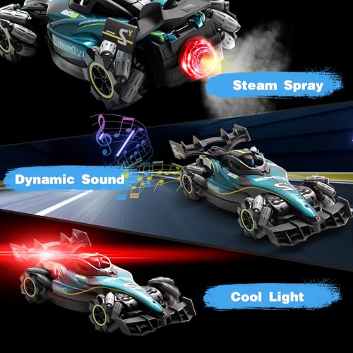 RC Crawler Remote Control Stunt Car Off Road Monster Truck 2.4Ghz All Terrain Hobby Truck 2 Battery D5118