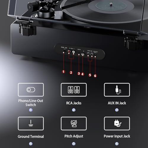 Piano Lacquer Grey Belt Drive 2-Speed Turntable with Built in Speakers C724