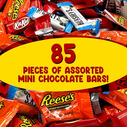 Bulk Chocolate Candy Mix Miniature Size - 5 Pounds Approx 210 pieces O5507