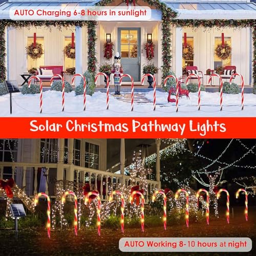 20 Pack Solar Candy Cane Lights P183124