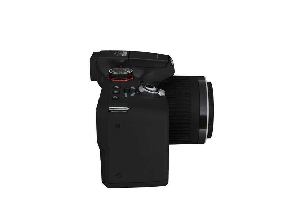 12 Megapixel Bridge Camera - Black M17508