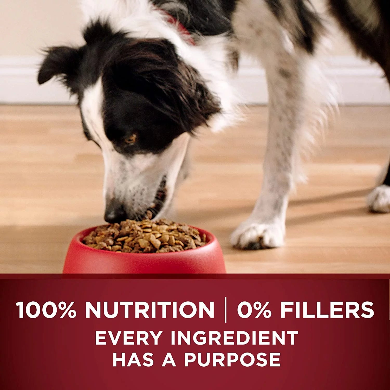 27.5 lb. Dry Dog Food with Real Turkey & Venison D3863