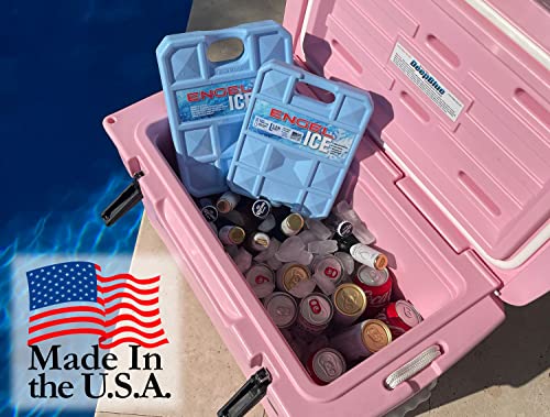 32°F Cooler & 5°F Freezer Packs Non-Toxic Ice Packs D52729