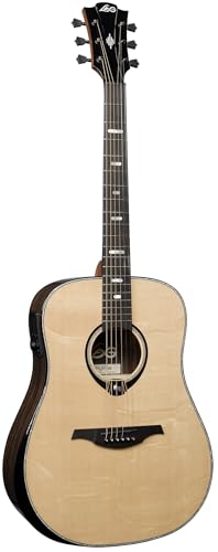 50 Dreadnought Bevel Gloss Acoustic Guitar I294