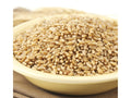 50-Pound Hard Wheat Berries U70924