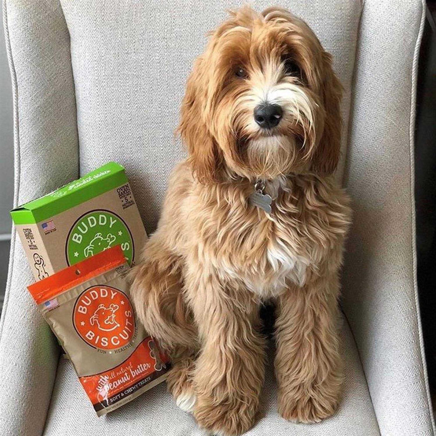 Peanut Butter Soft and Chewy Dog Treats A2493