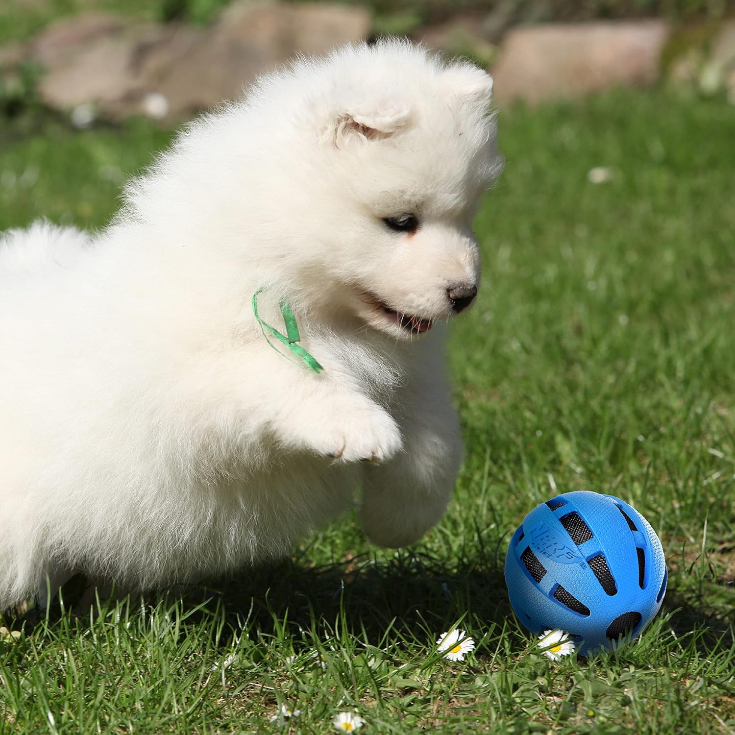 Blue Rubber Ball Dog Toy X630