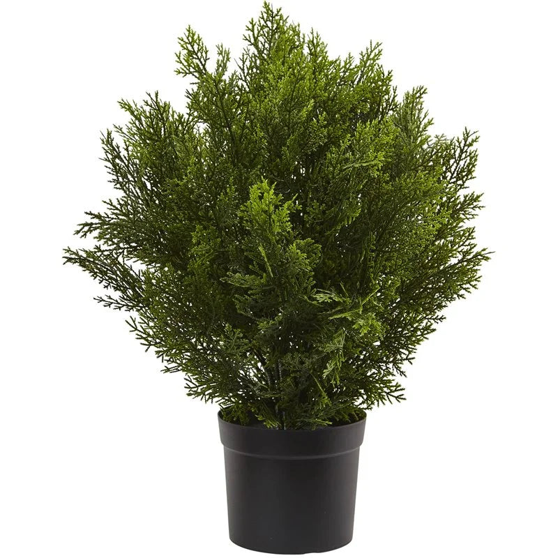 2'H Artificial Cedar Bush With Pot, Green/Black M967