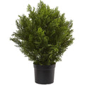 2'H Artificial Cedar Bush With Pot, Green/Black M967