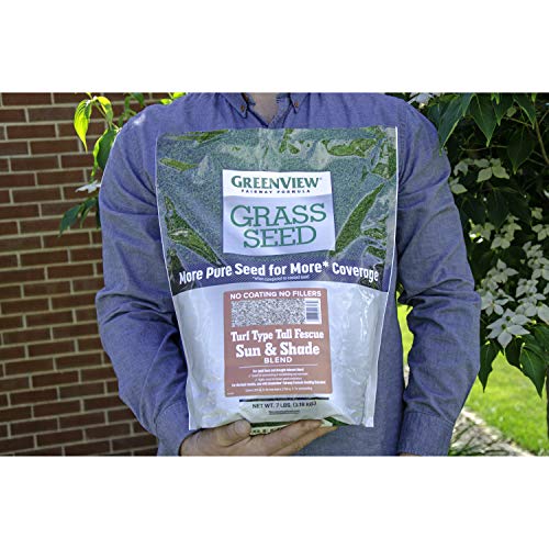 3 lbs. Tall Fescue Grass Seed O44199