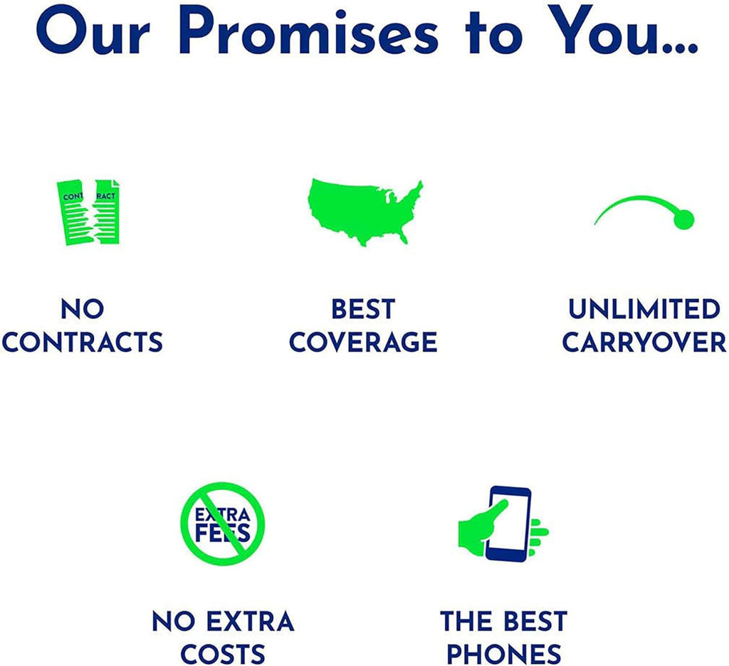 $60 1200 Min 1200 Text 3 GB Data 365–Day Plan N175