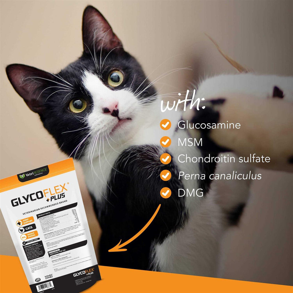 GlycoFlex Plus Hip & Joint Support for Cats J63326