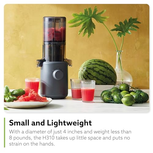 Self Feeding Slow Masticating Juicer Q597