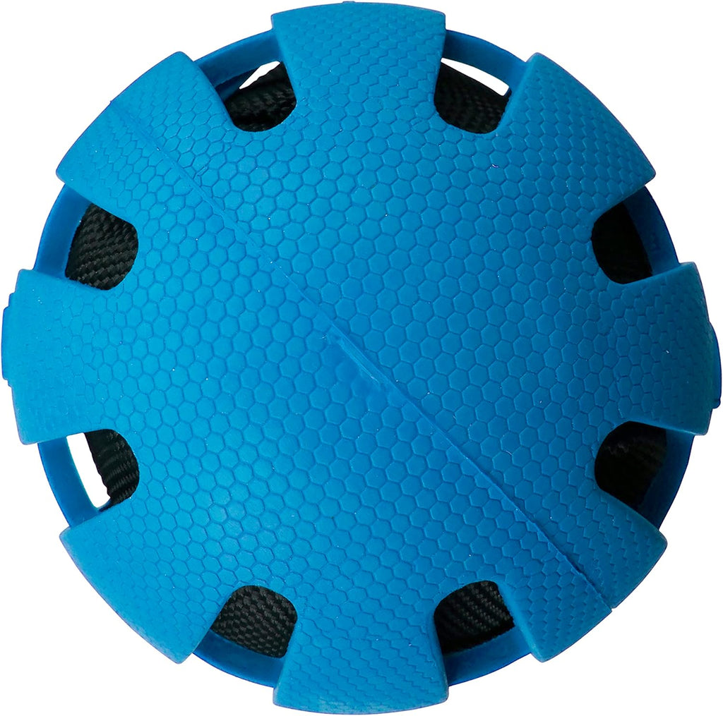 Blue Rubber Ball Dog Toy X630