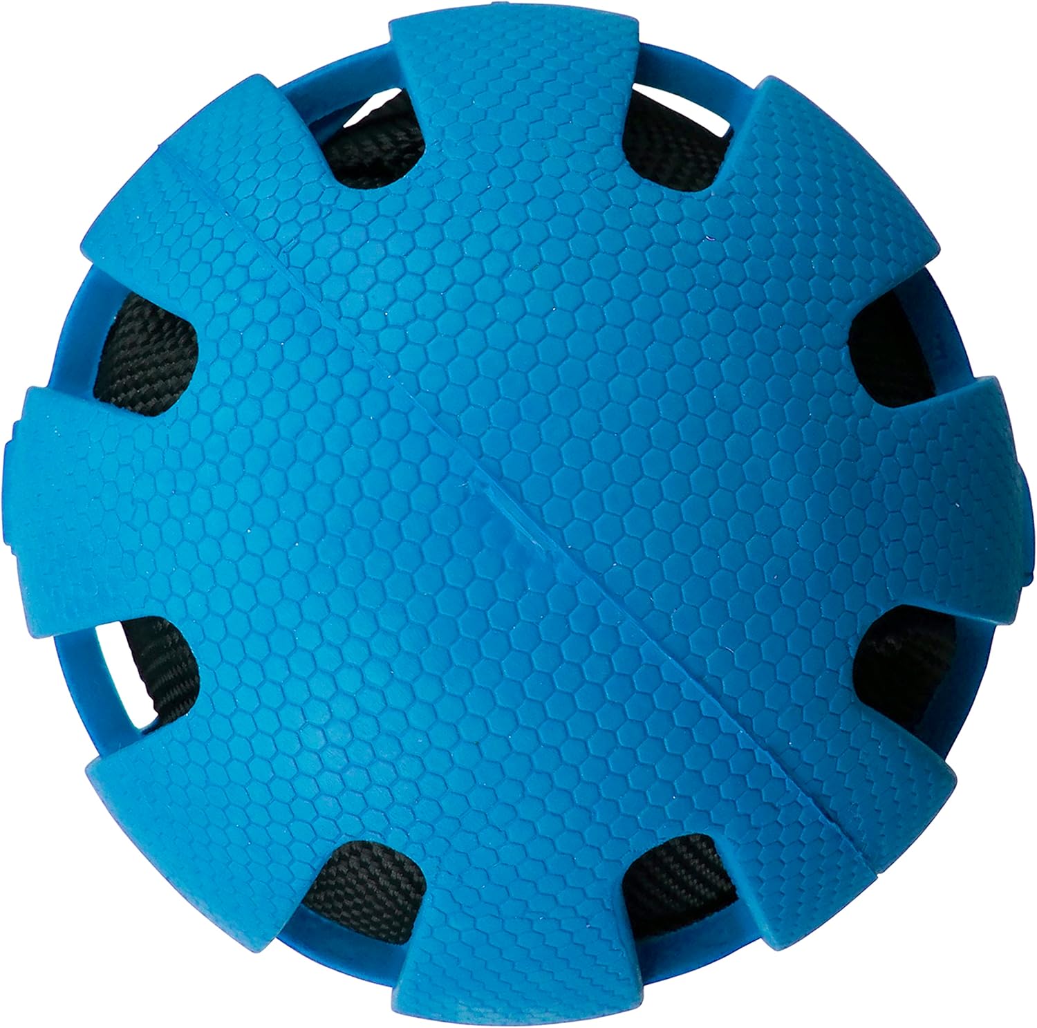 Blue Rubber Ball Dog Toy X630