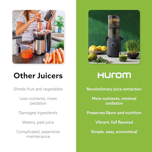 Self Feeding Slow Masticating Juicer Q597