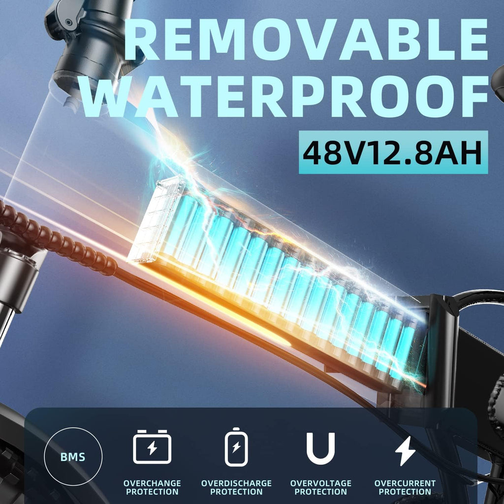 Folding Electric Bike, 48V18Ah/12.8ah Removable Lithium Battery, 750W Motor, 20" Fat Tire, Shimano 7-Speed, Dual Shock Absorber R260