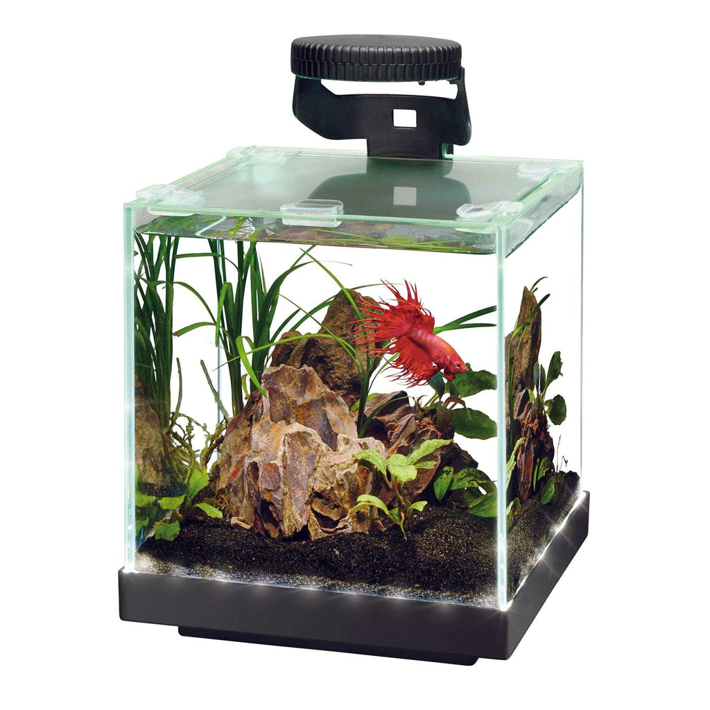 Edgelit Cube Aquarium Q2996