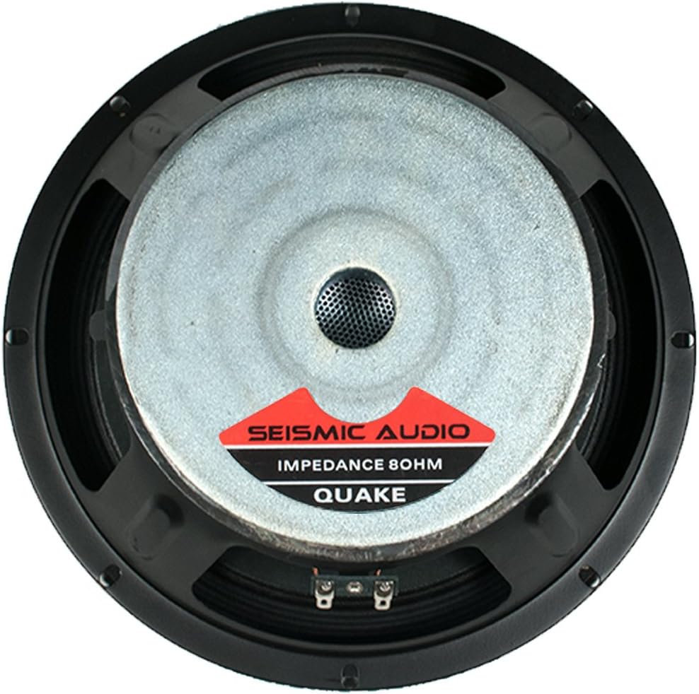 10" Raw Woofer Speaker T14834