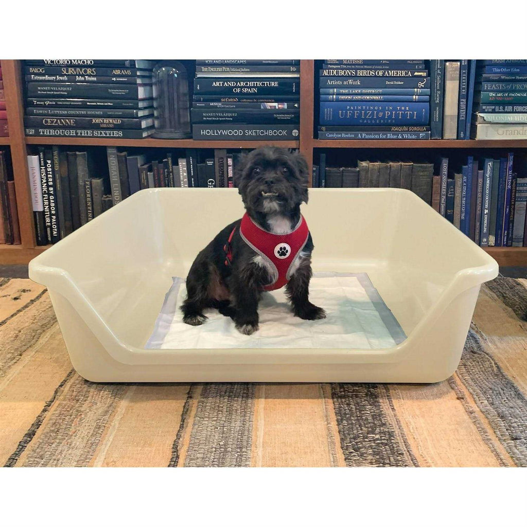 Indoor Dog Potty Tray P1355