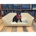 Indoor Dog Potty Tray P1355