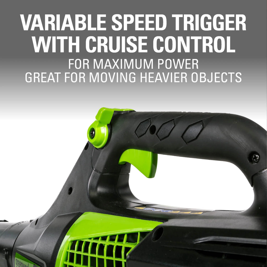 80V Brushless Leaf Blower with 2.5 Ah Battery & Charger S905655