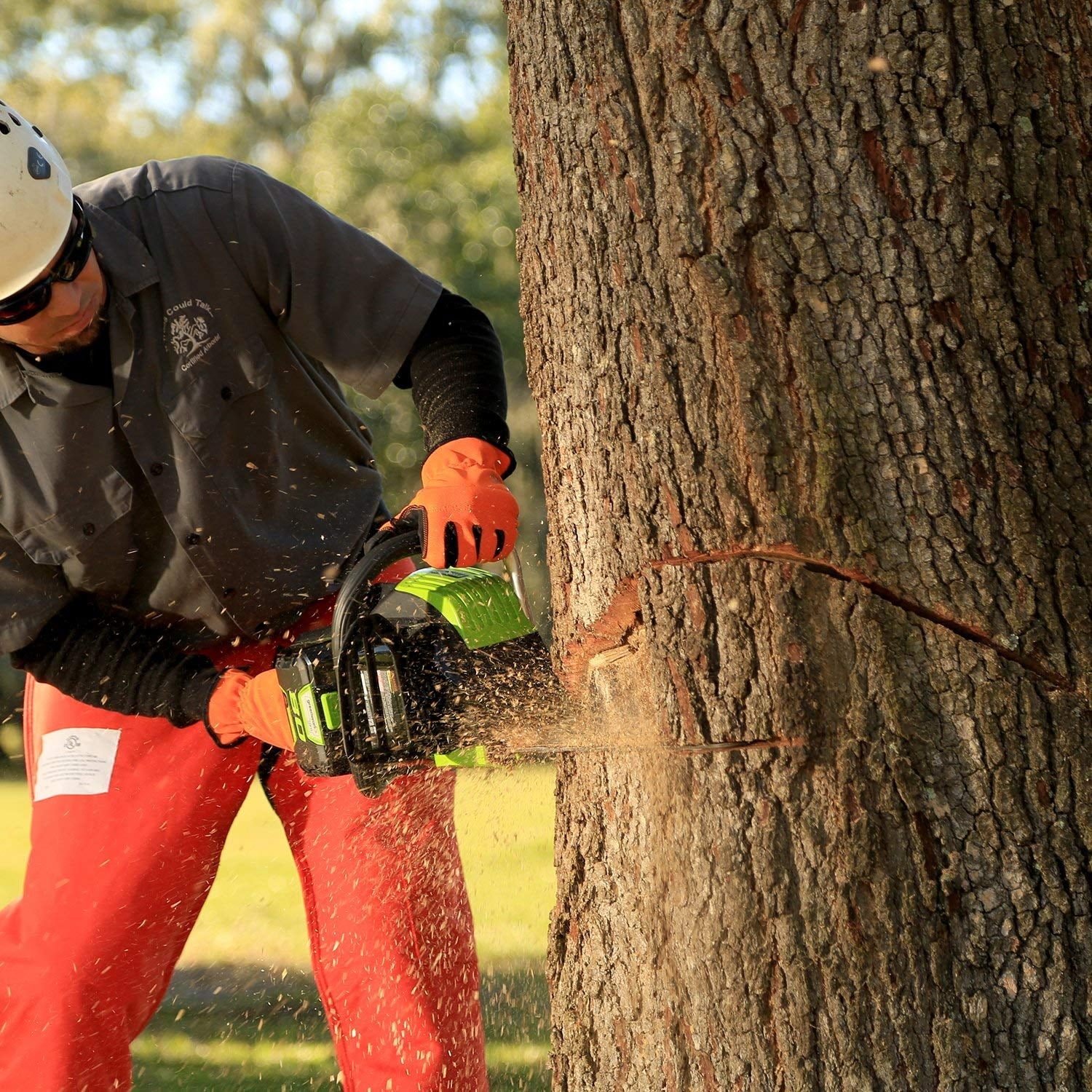 Discontinued 18-Inch 80V Cordless Lithium-Ion Chainsaw M972