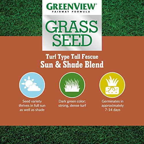 3 lbs. Tall Fescue Grass Seed O44199