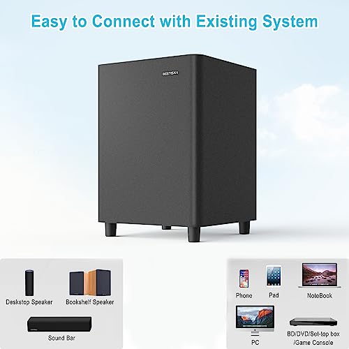 Powered Subwoofer with Coaxial Cable M98165