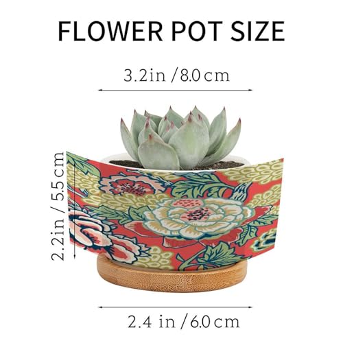 Pink and Blue Ceramic Round Flower Pots with Drainage Holes and Bamboo Tray I636