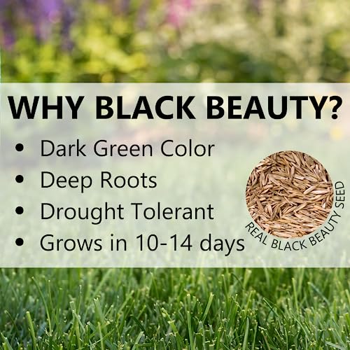 Cool Season Grass Seed Fertilizer Mulch 13.5 lb T313