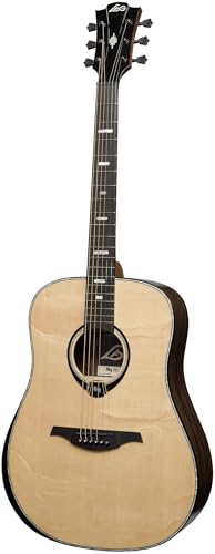 50 Dreadnought Bevel Gloss Acoustic Guitar I294
