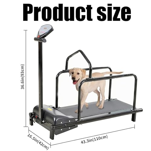 Dog Treadmill for Large Dogs K20867