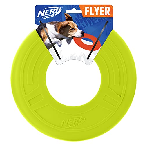 Blue 10 Inch Rubber Flying Disc Dog Toy I12874