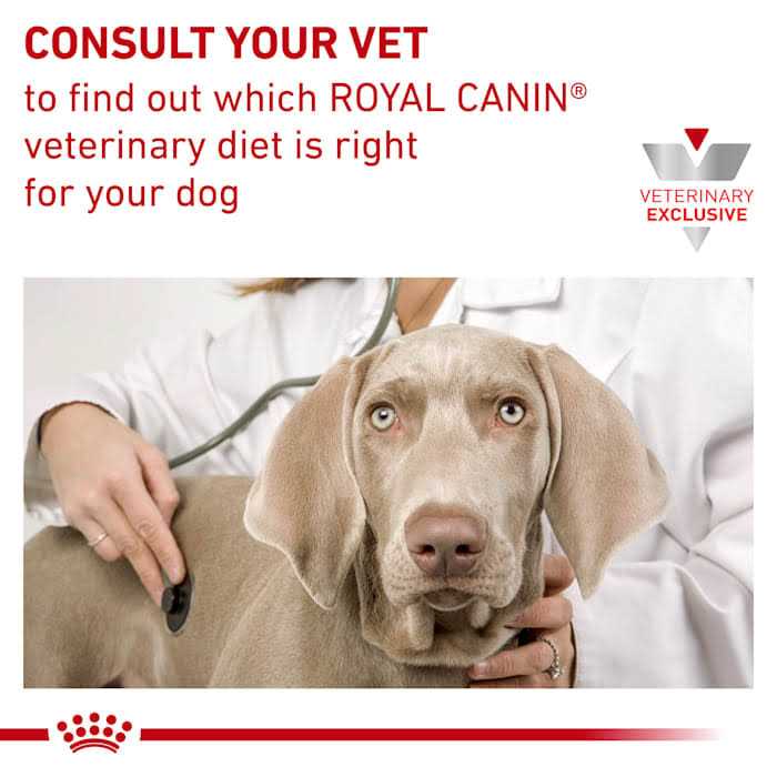 Veterinary Diet Hepatic Canned Dog Food J6207