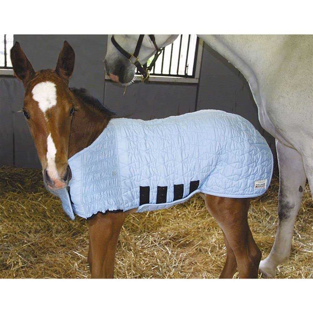 Lightweight Foal Saver B65917