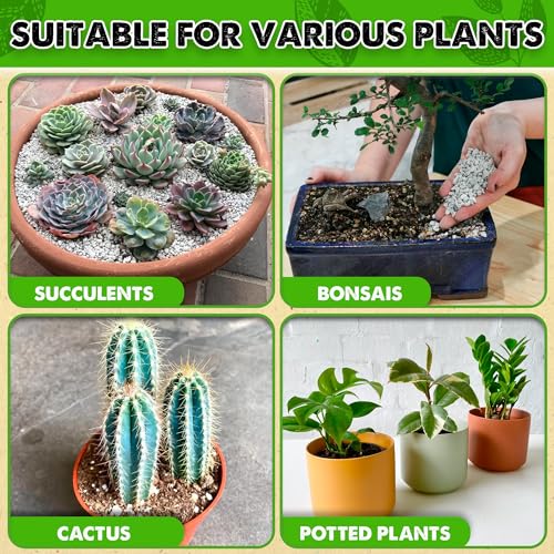 Horticultural Pumice 2 QT 1/4" - 3/8" W805