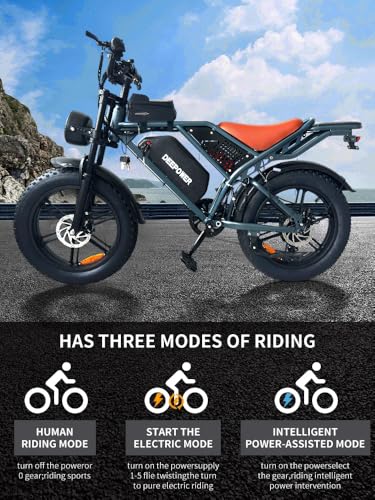 1500W Peak 20" Fat Tire Dual Suspension Electric Bike V117