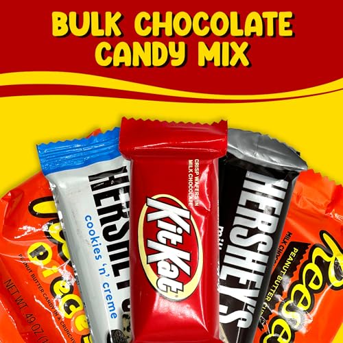 Bulk Chocolate Candy Mix Miniature Size - 5 Pounds Approx 210 pieces O5507