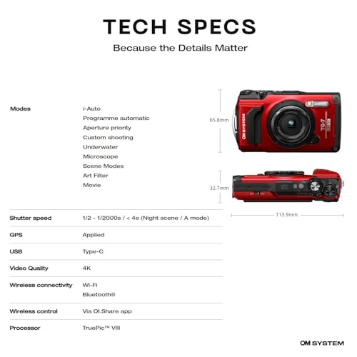 Red Digital Camera T53349