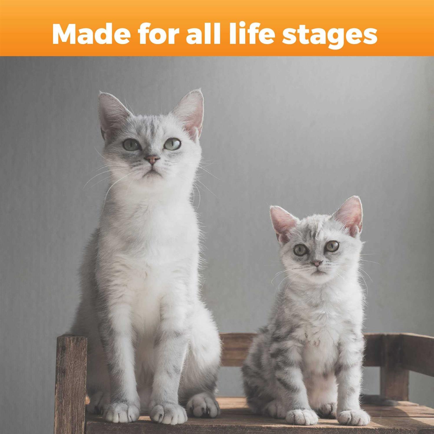 GlycoFlex Plus Hip & Joint Support for Cats J63326