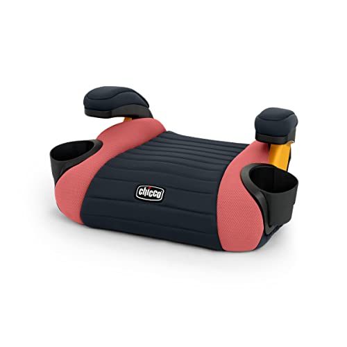 Backless Booster Car Seat, Portable Car Booster Seat for Children 40-110 lbs., Grape/Purple M34610