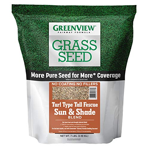 3 lbs. Tall Fescue Grass Seed O44199