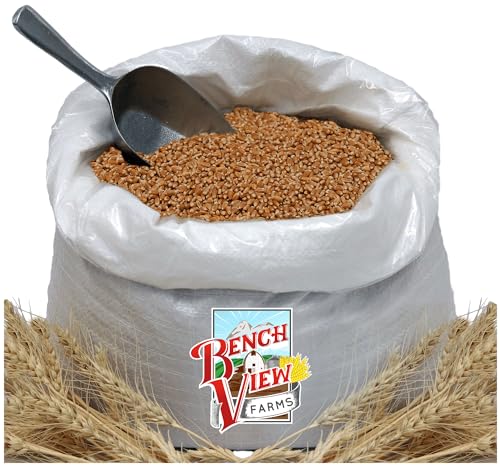 Organic Hard Red Wheat Berries - 3lbs L56335