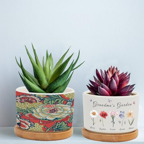 Pink and Blue Ceramic Round Flower Pots with Drainage Holes and Bamboo Tray I636