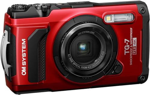 Red Digital Camera T53349