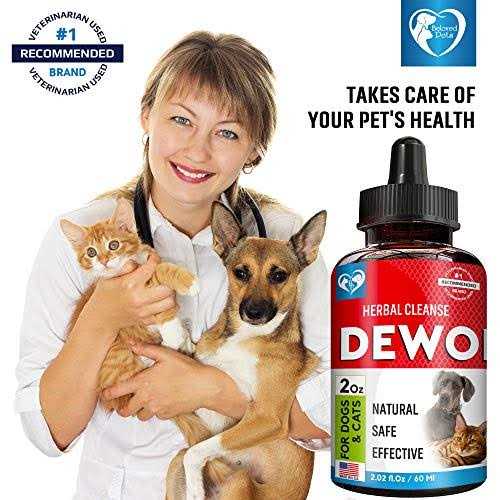 Liquid Herbal Medicine for Tapeworm, Whipworm, Roundworm, and Hookworm V970