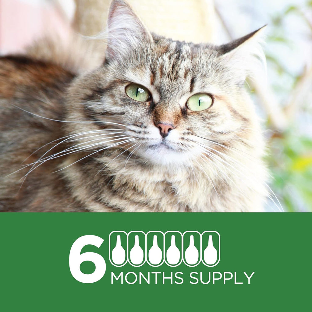 6 Doses Flea Treatment for Large Cats 9+ lbs Y6582